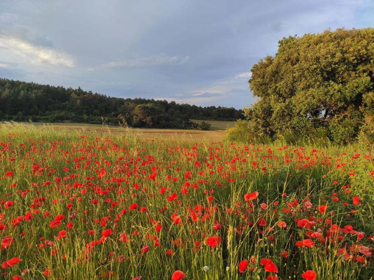 Alairac Gite A La Campagne, Proche Carcassonne מראה חיצוני תמונה